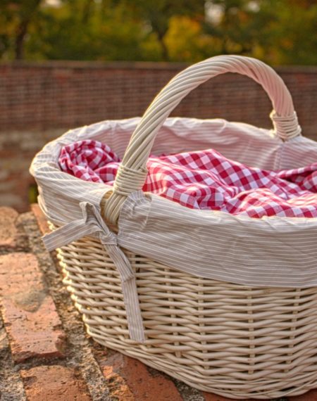 Food Ideas for Picnic