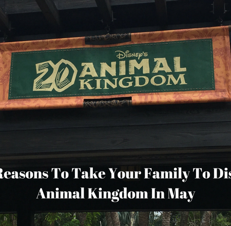 Five Reasons To Take Your Family To Disney’s Animal Kingdom In May