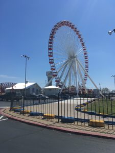 Five Fun Things You Can Expect From Branson Track Family Fun Parks