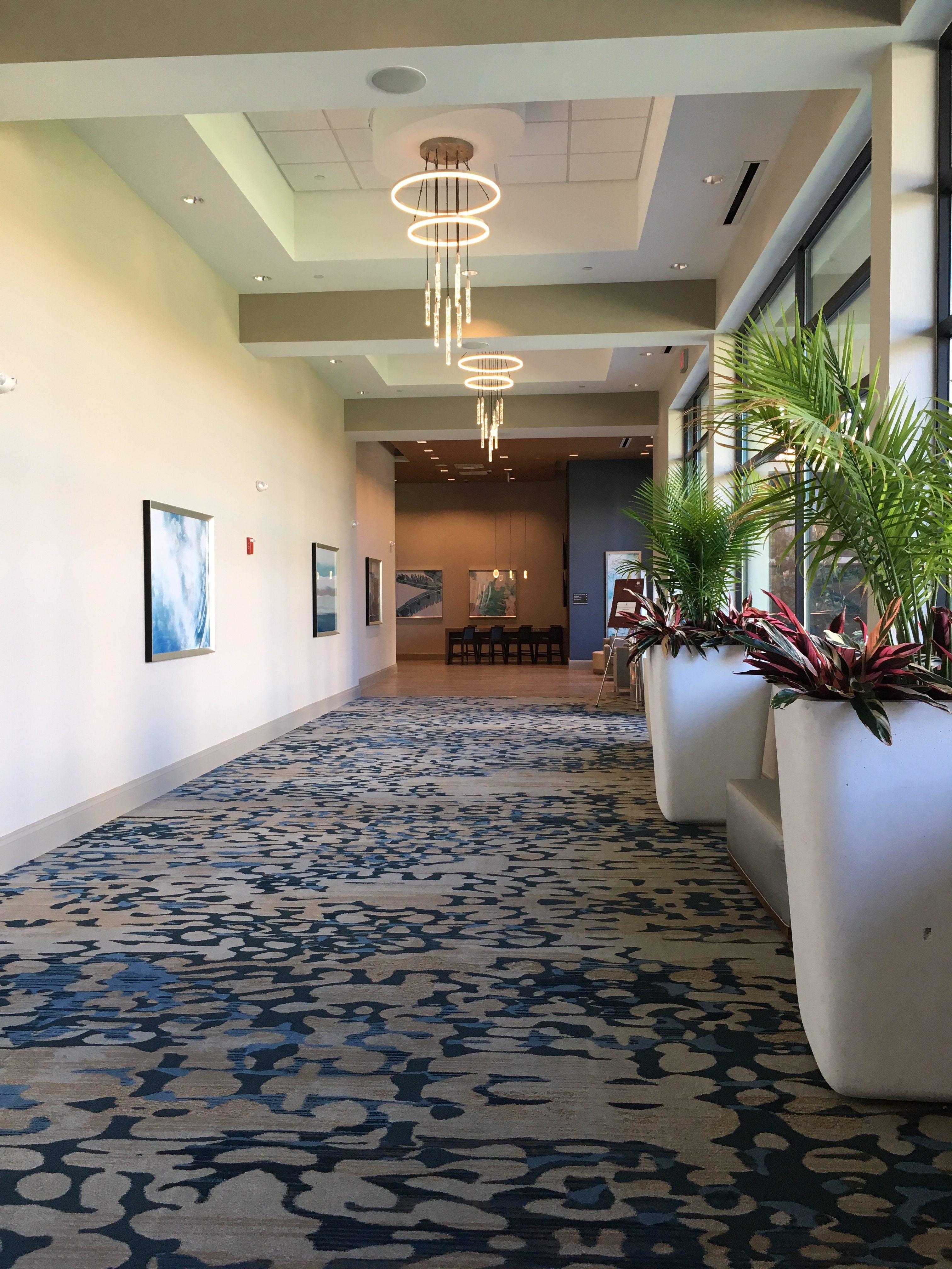 Doubletree By Hilton Orlando At Seaworld - A New Luxury Budget Friendly Option In Orlando