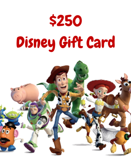 Toy Story Land Gift Card Giveaway