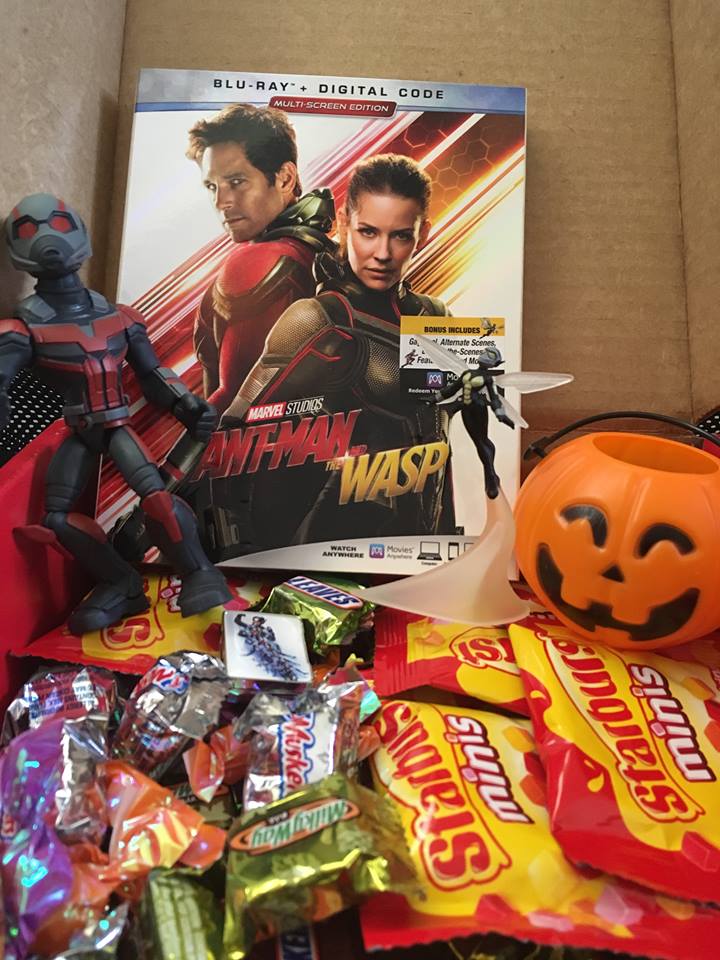 Ant-Man And The Wasp Now on DVD Plus Giveaway