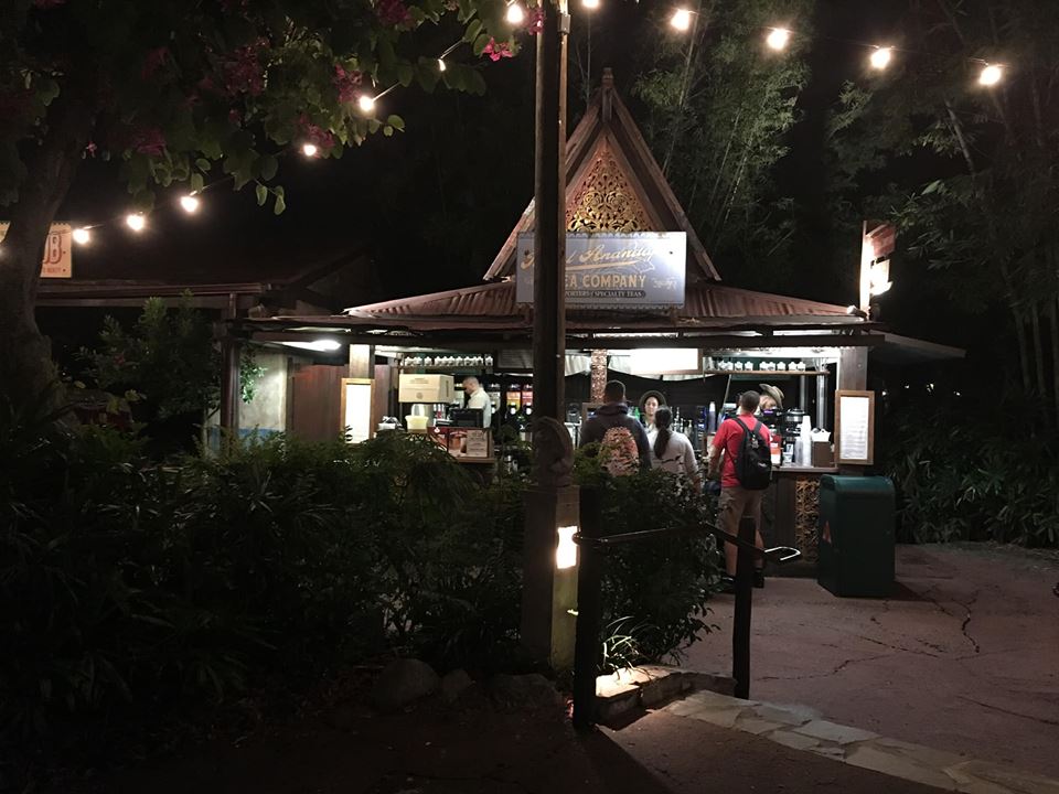 After Hours at Animal Kingdom and Hollywood Studios