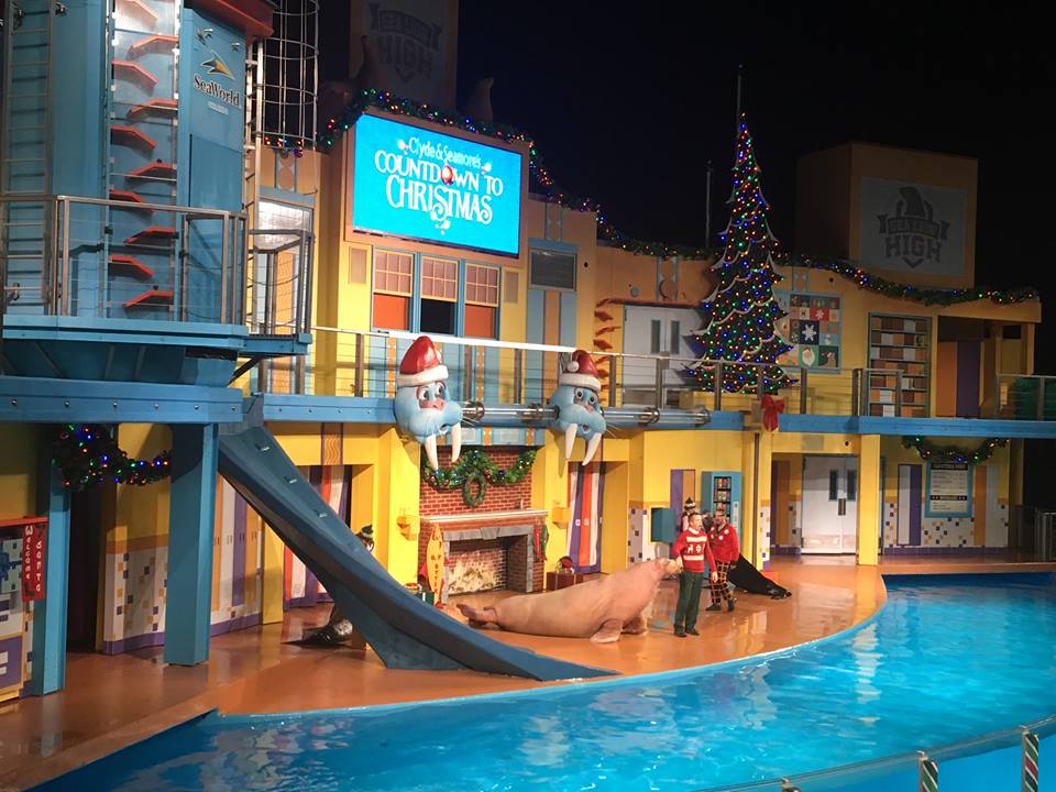 SeaWorld's Christmas Celebration A Night To Remember