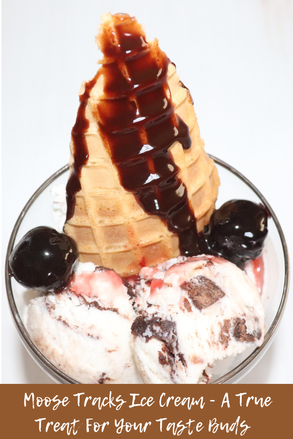Moose Tracks Ice Cream - A True Treat For Your Taste Buds 