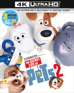 Secret Life Of Pets 2 Now On DVD And Blu-Ray