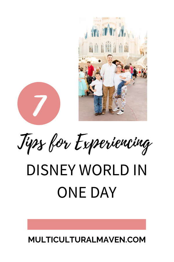 7 Tips to experience Disney World
